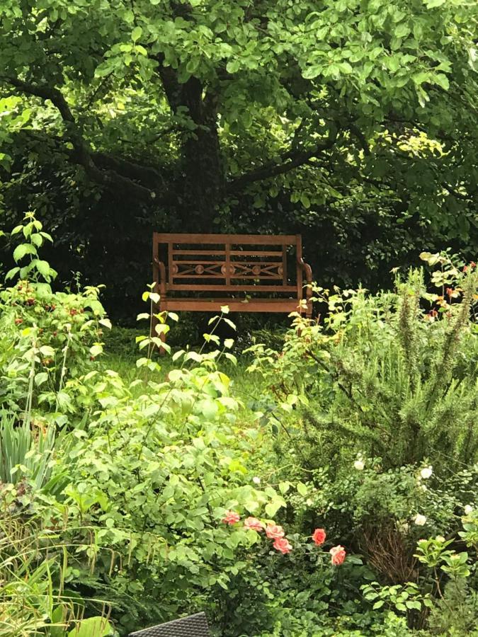 Gartenwohnung Gundelfingen  Exteriör bild