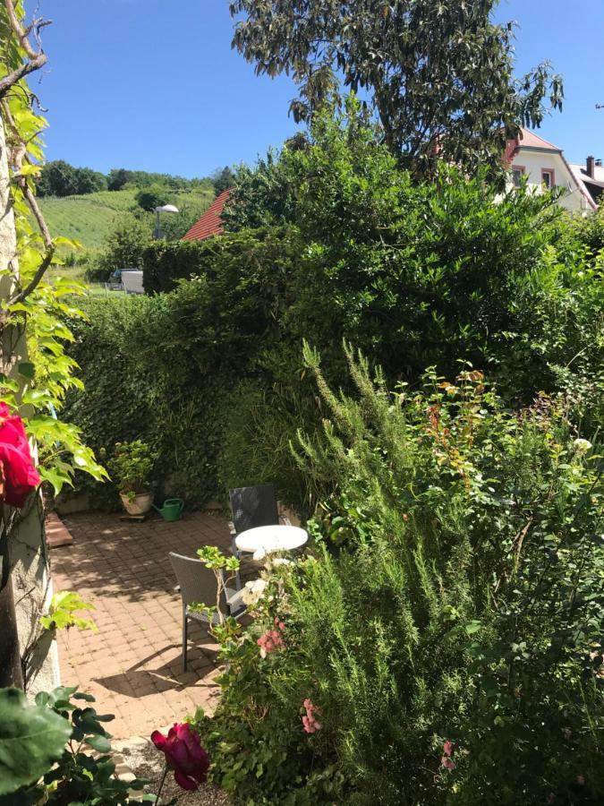 Gartenwohnung Gundelfingen  Exteriör bild