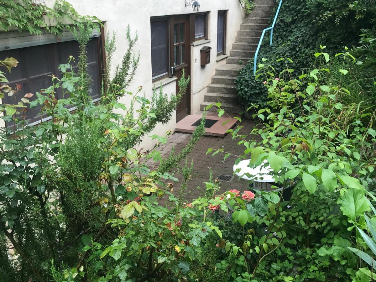 Gartenwohnung Gundelfingen  Exteriör bild